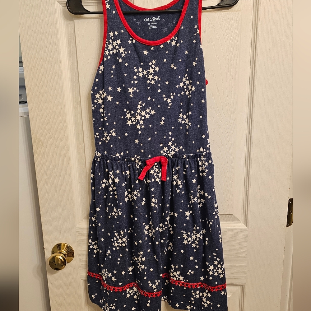 Cat and Jack Dress